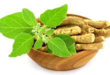 অশ্বগন্ধার উপকারিতা