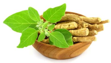 অশ্বগন্ধার উপকারিতা