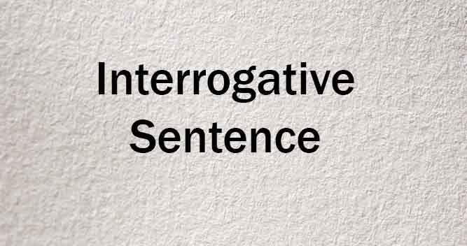 interrogative sentence কাকে বলে