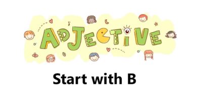 adjectives starting with b